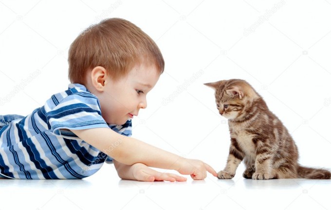 The importance of animals in children's lives