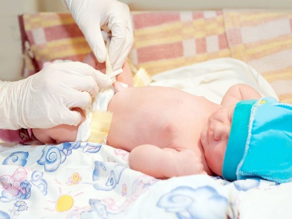 Why Conserve Stem Cells