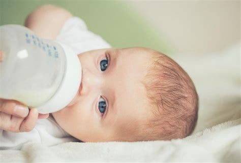 Donkey's milk for premature and intolerant infants