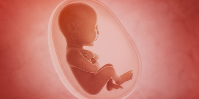How to live the 9 months of pregnancy