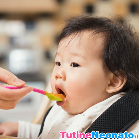 Weaning at 4 months not recommended by the WHO